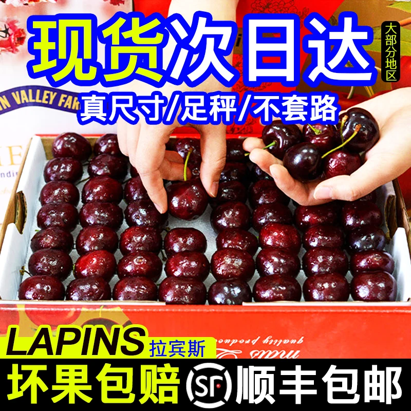 进口智利超大车厘子水果礼盒装新鲜水果5斤装JJJJJ2