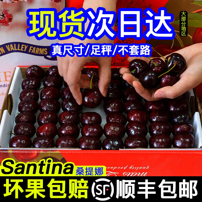 桑提娜品种进口智利超大车厘子水果礼盒装新鲜1-5斤JJJJ