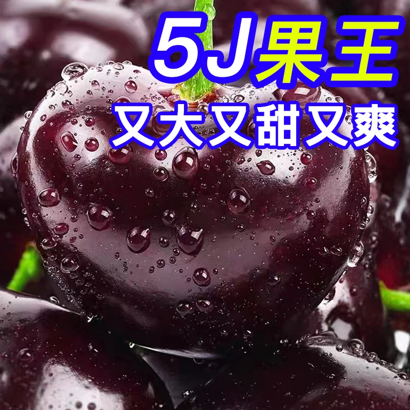 最大果【5J果王品质享受】桑提娜进口智利空运车厘子新鲜水果礼盒