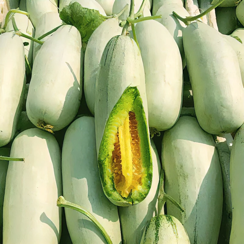 【现摘】头茬山东潍坊羊角蜜甜瓜蜜瓜榨汁脆甜香甜可口脆甜多汁