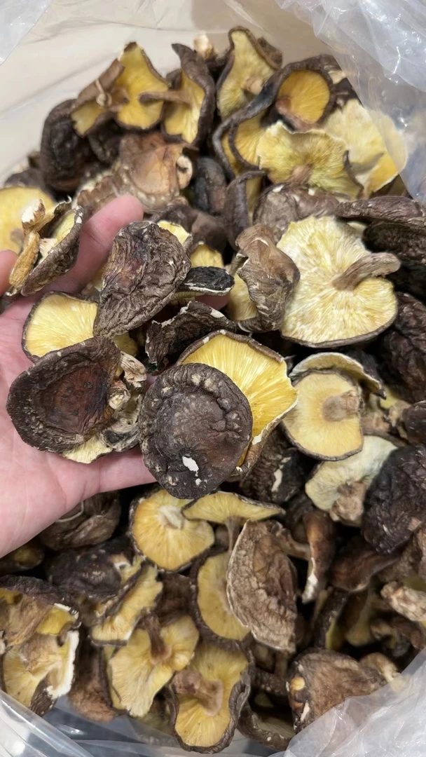 【深山野生菇】粤北本地  适合打边炉和炖鸡