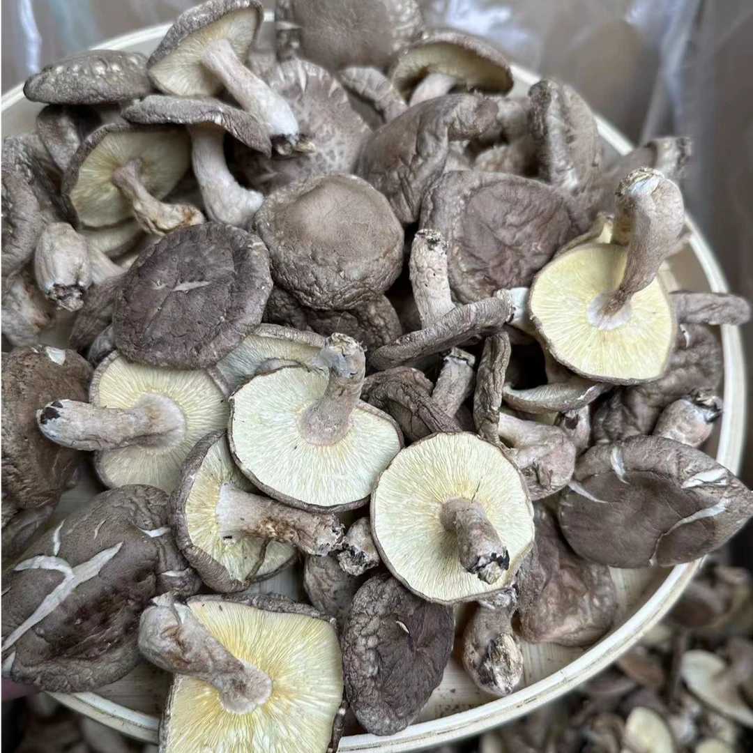 【粤北香信菇】山区特产 香信菇特惠装 适合打边炉焖鸡蒸鸡炖鸡汤