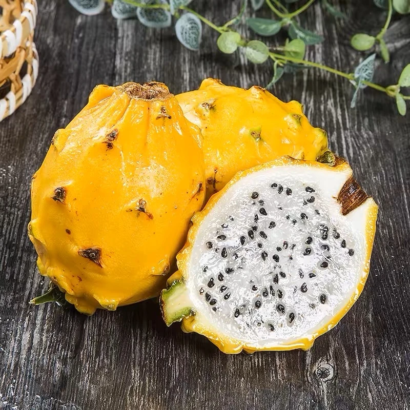 （全网低价）4斤燕窝果麒麟果现摘水果黄色火龙果白心黄龙果香甜