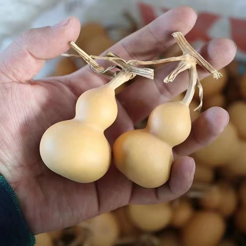 九哥精品文玩葫芦【直播间专拍】