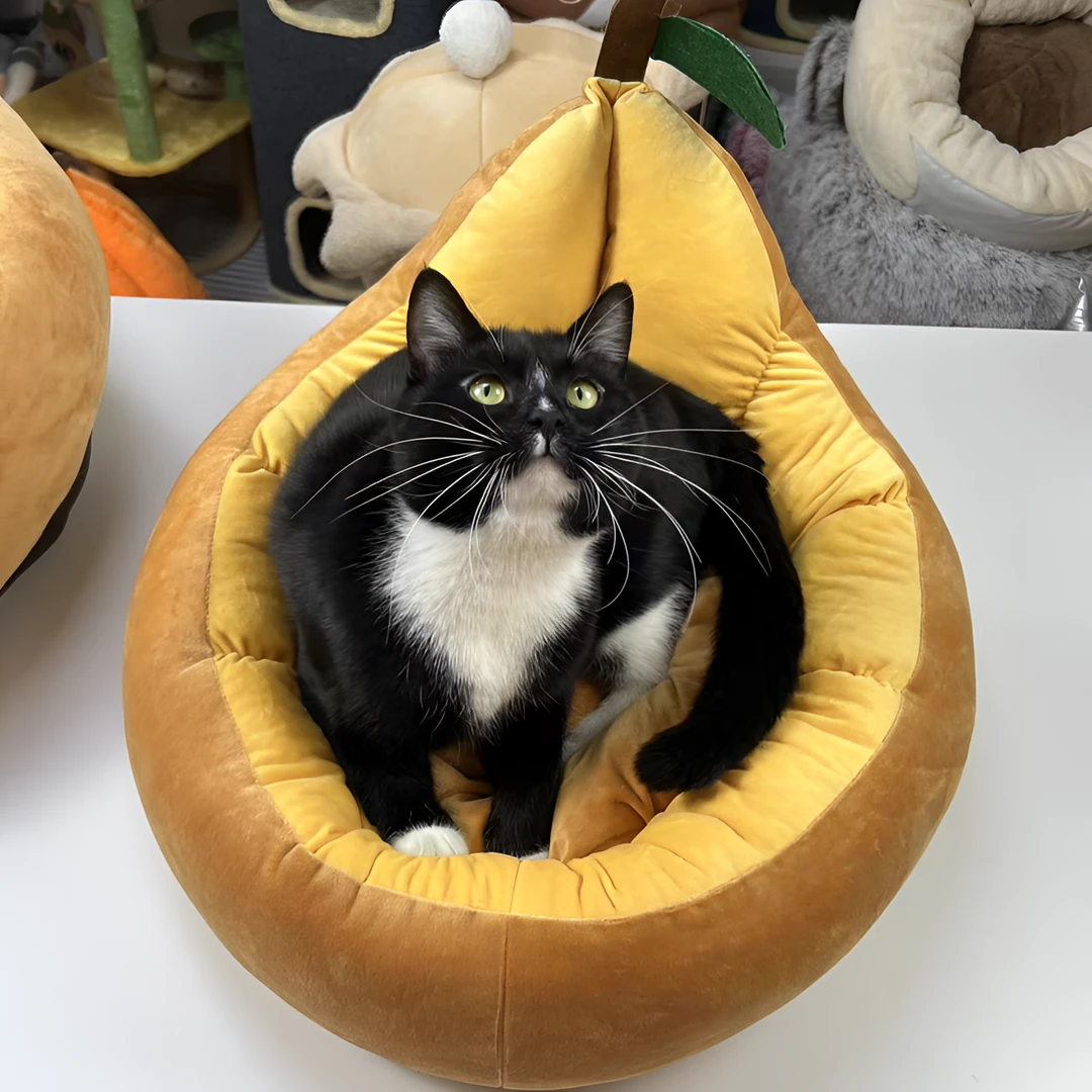 冬季猫窝狗窝牛油果造型舒适保暖加厚可爱猫狗四季通用
