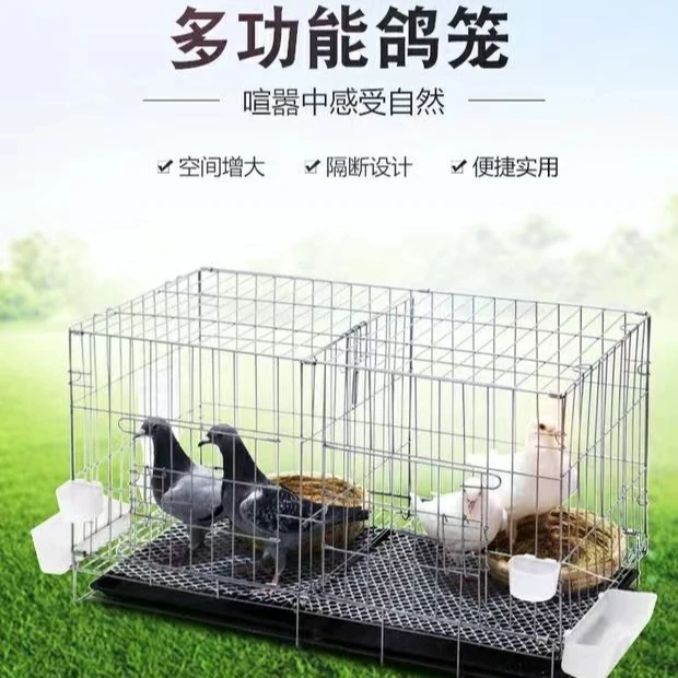 鸽子家用养殖笼鸽子配对笼大号鸽子笼便携带隔断养鸽子专用笼鸟笼