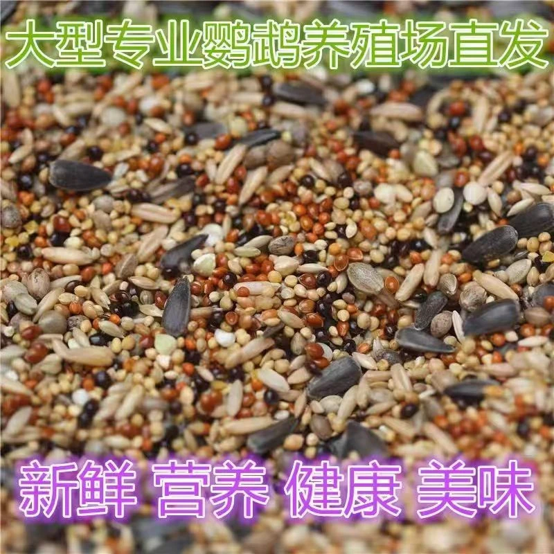 新粮多种混合粮鹦鹉食粮红黄谷子混合玄凤虎皮鹦鹉食粮玄凤鹦鹉