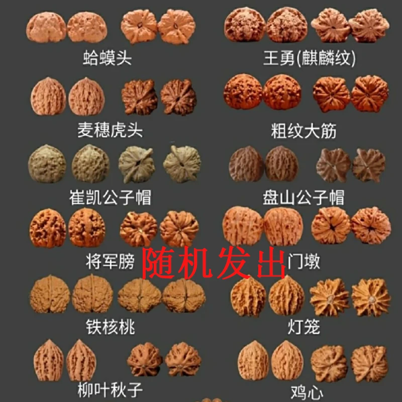 文玩核桃狮子头把件白狮子宫灯南疆石平谷元宝蛤蟆头