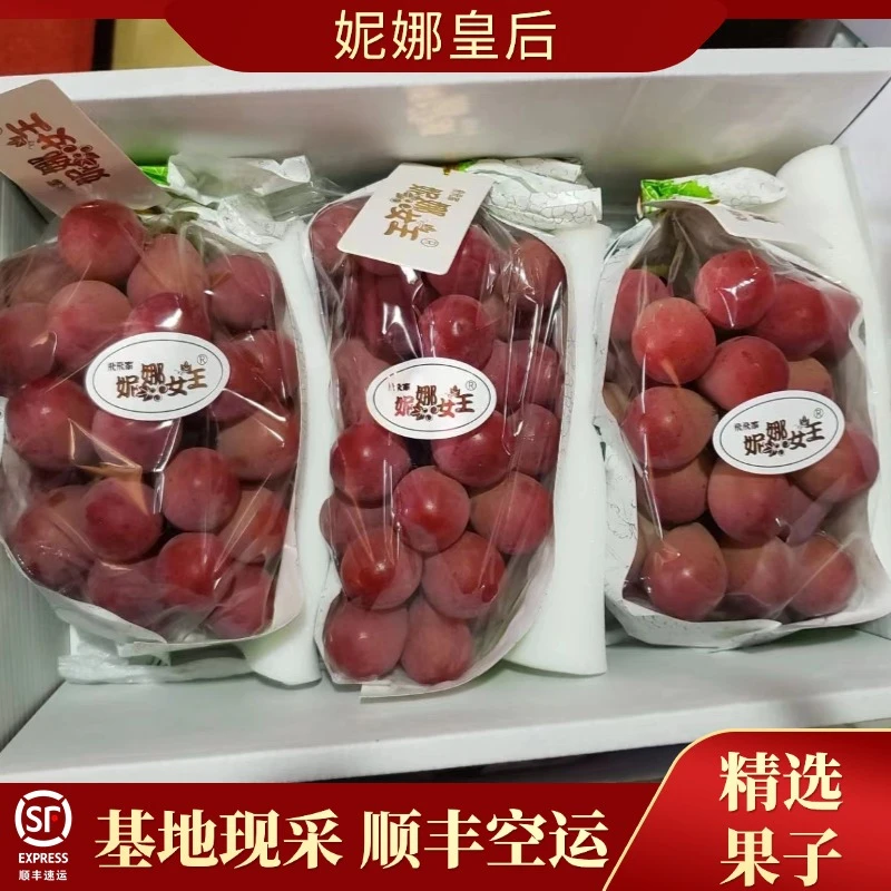 【顺丰空运】云南妮娜皇后新鲜葡萄红提高端水果礼盒空运严选无籽核