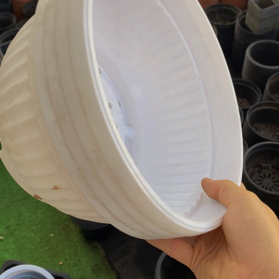 塑料新25公分白圆盆3个
