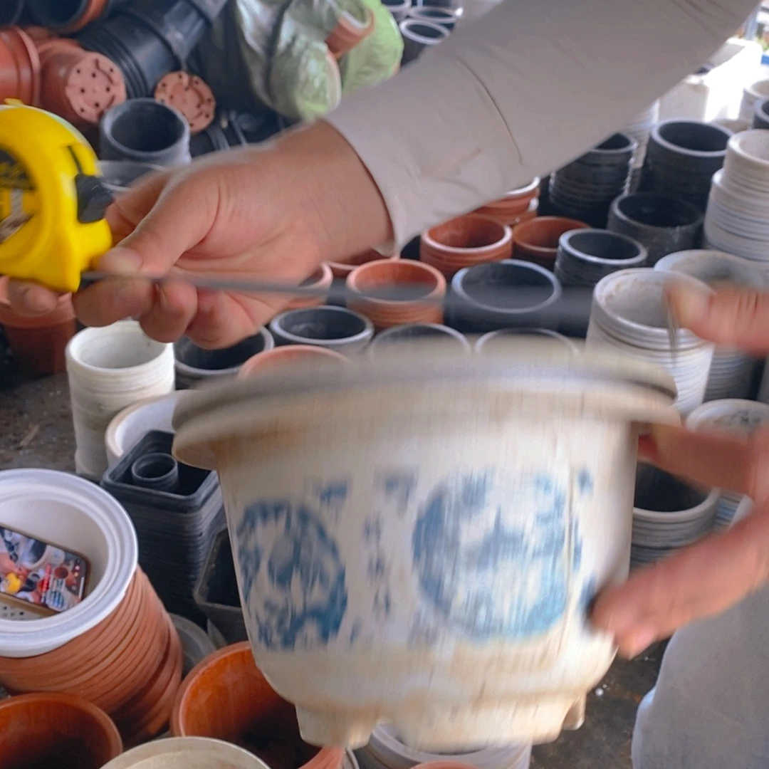 二手花开富贵白色16公分 16个