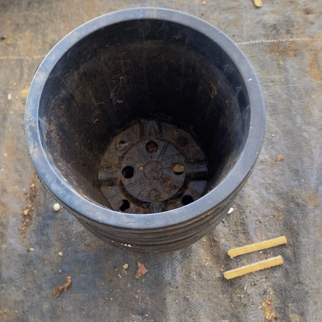 塑料旧20公分黑砖盆 15个