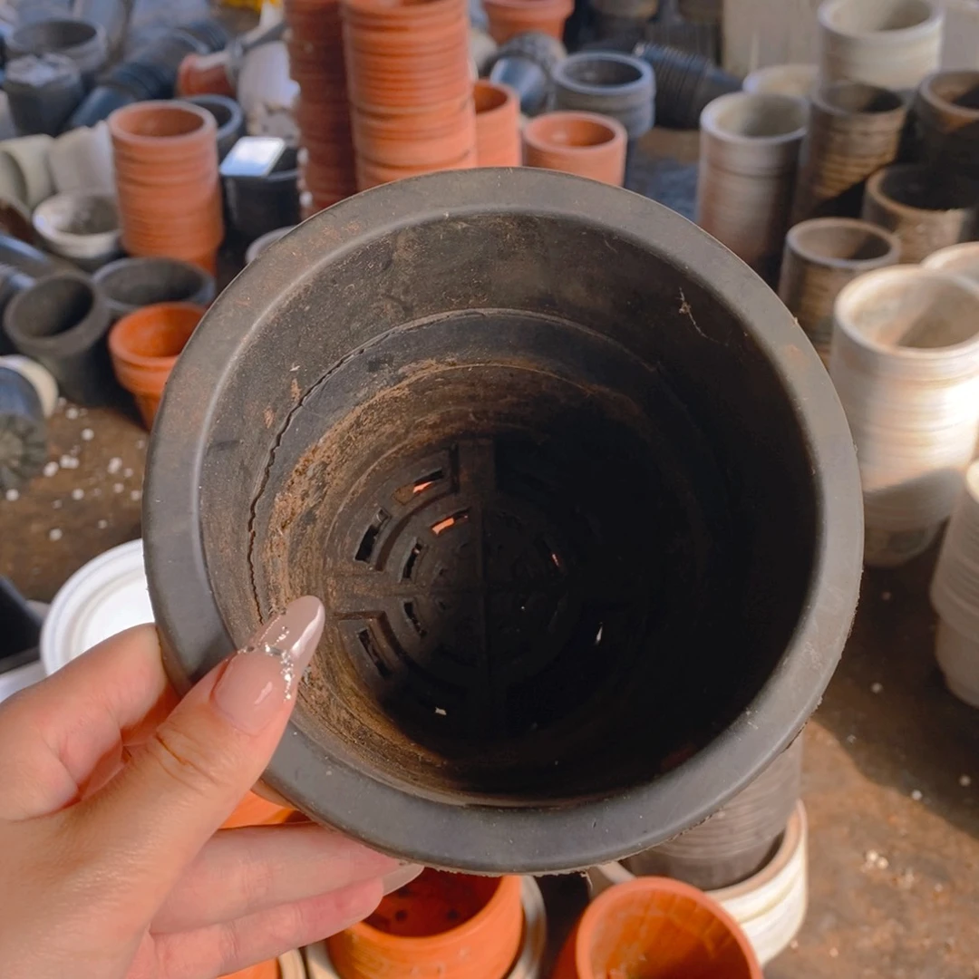 二手万象盆15公分 15个