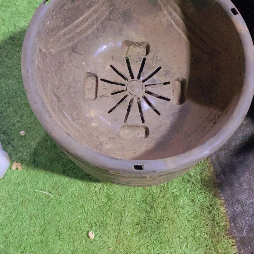 旧22公分黑色吊兰盆12个