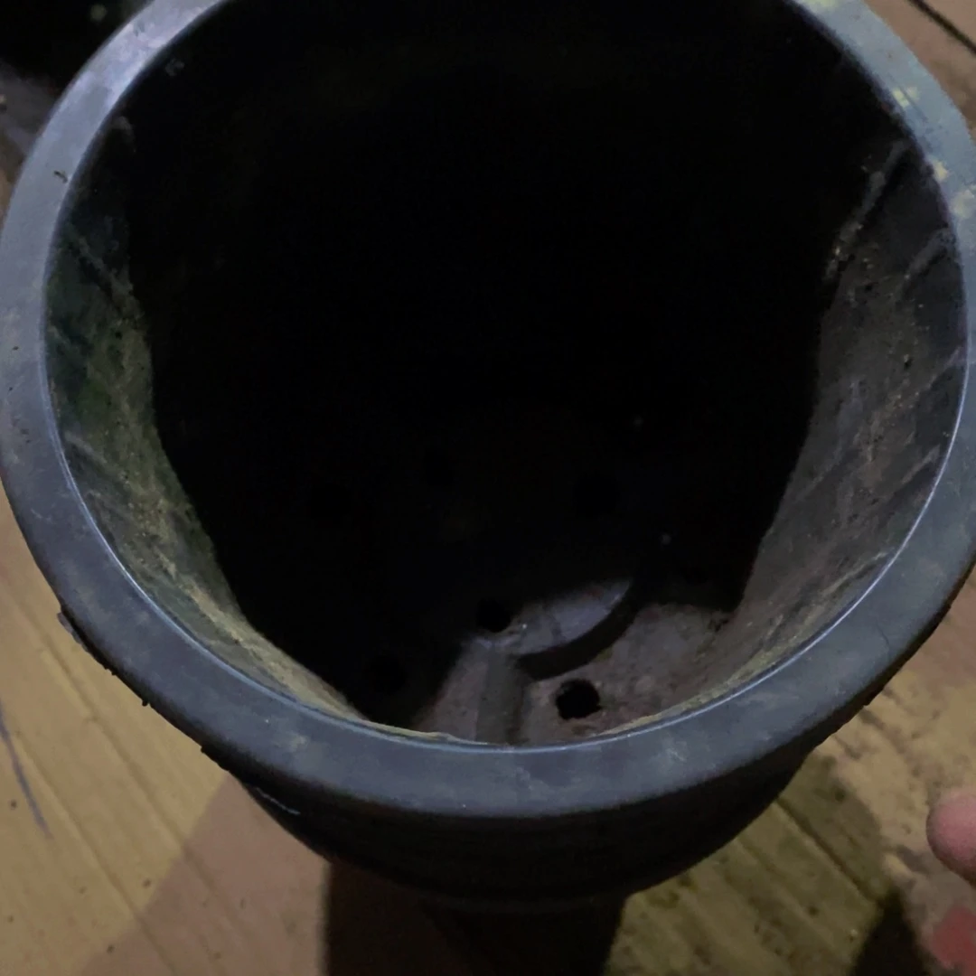 塑料20CM以下旧18公分黑砖盆15个