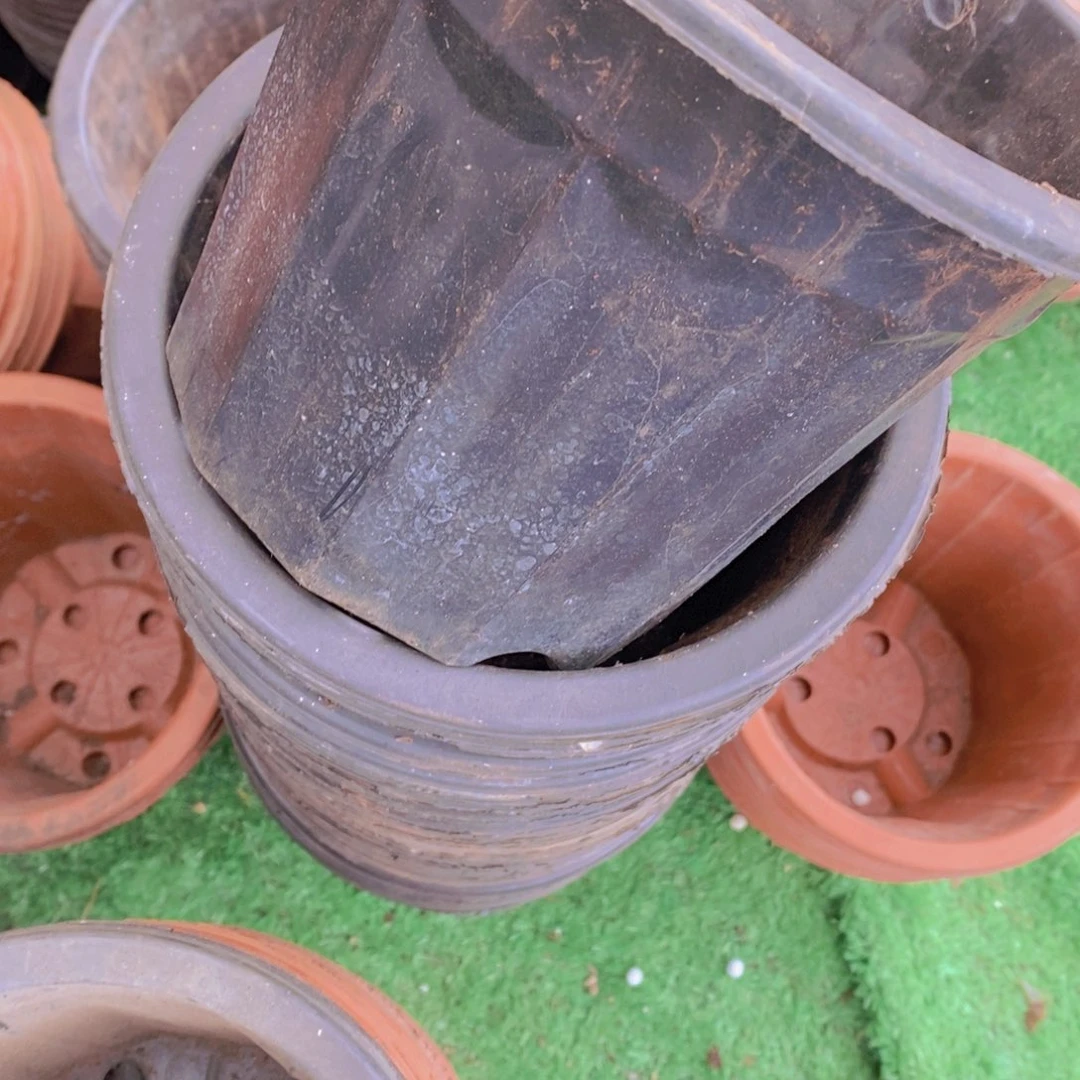 旧19公分黑砖盆15个