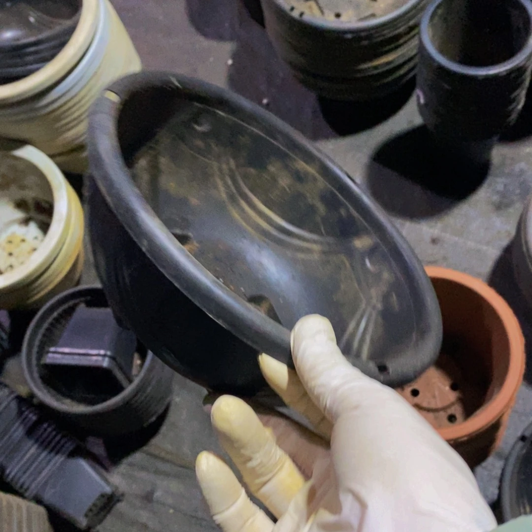 塑料旧22公分黑吊兰盆 12个