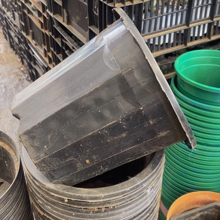 旧20公分黑砖盆15个