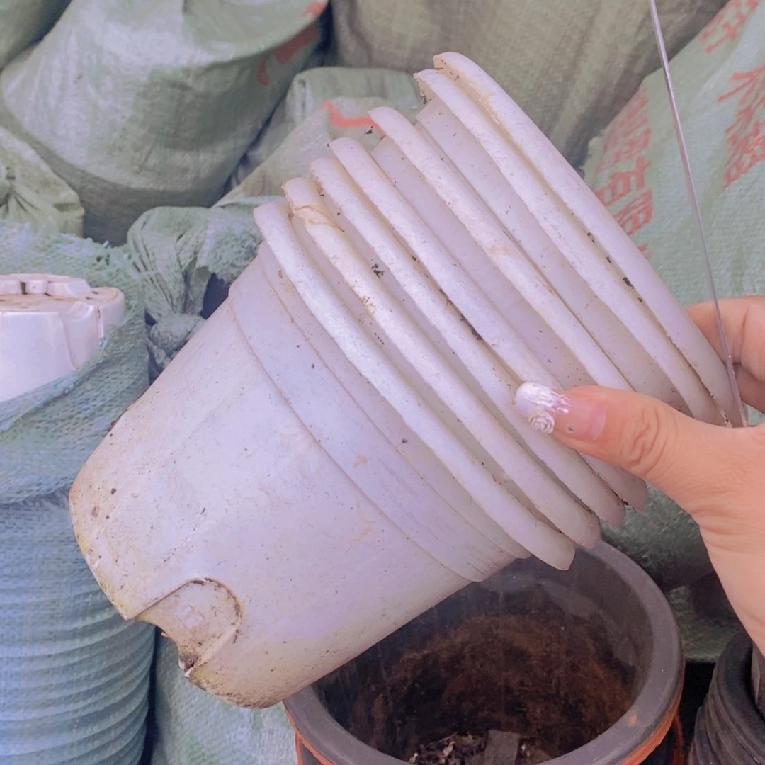 旧16公分高12公分白圆盆20个