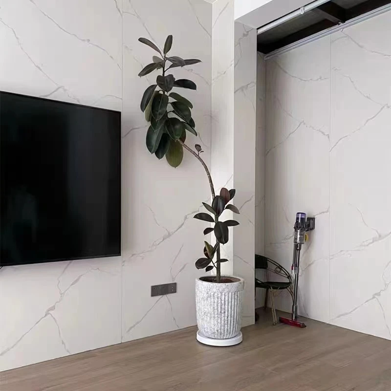 黑金刚橡皮树高级感好养盆栽客厅室内外造型