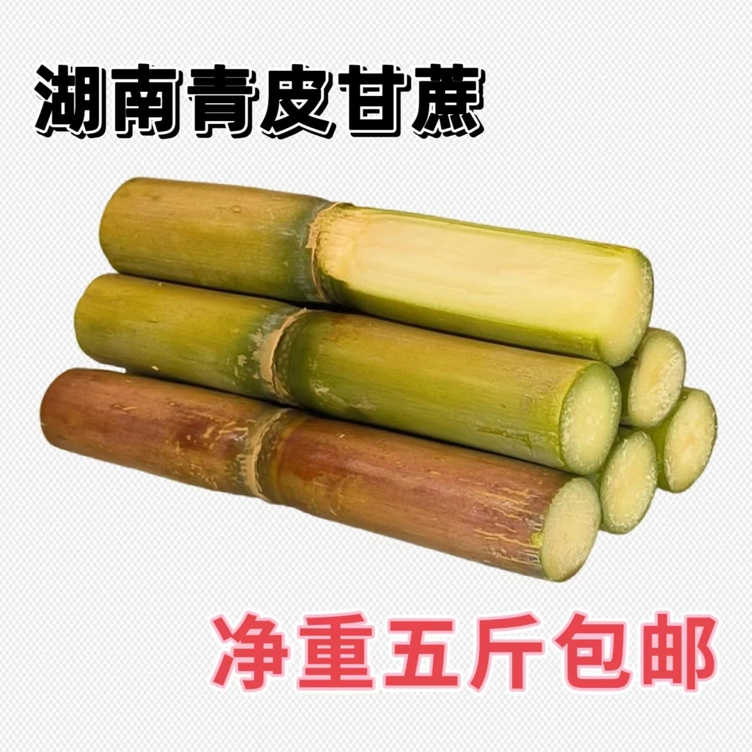 湖南青皮甘蔗直播间现场卖货新鲜红糖清甜水果脆皮甘蔗散装现砍发