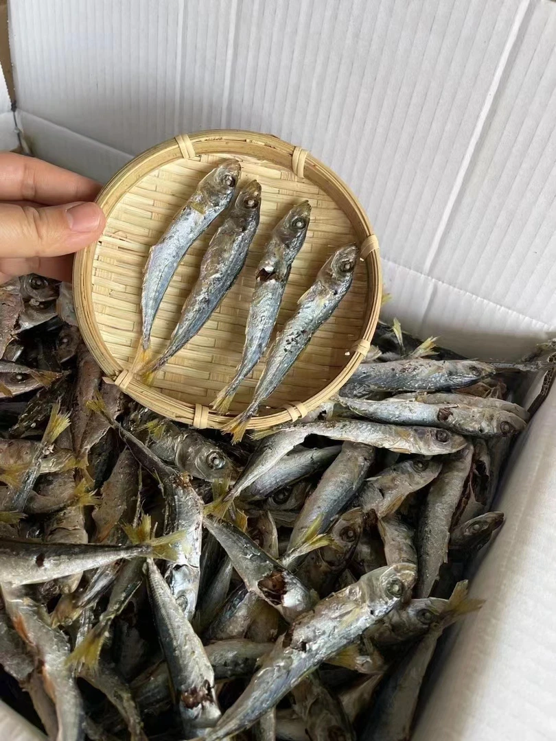 本港新鱼巴浪鱼干 竹叶巴浪鱼干 淡干有鲜甜香