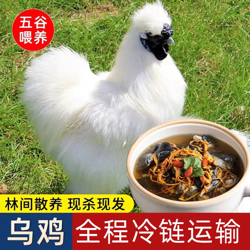 【小马生鲜】农家乌鸡宰杀发货  3只毛重9斤净重6斤