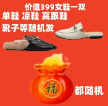 价值399女鞋一双