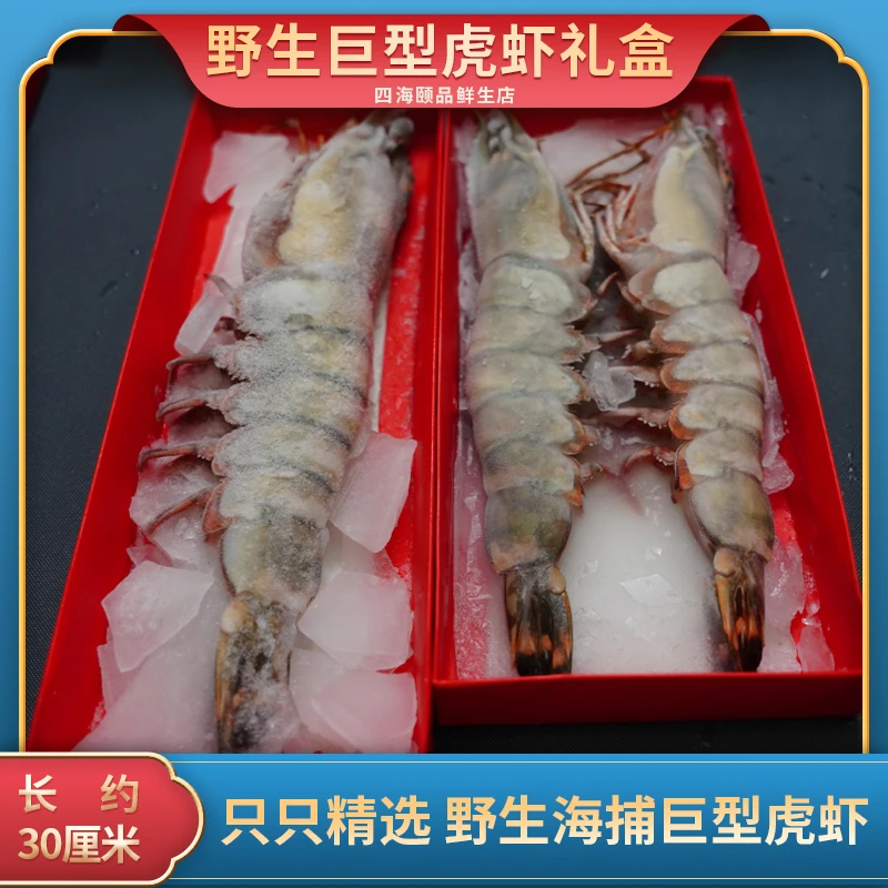 【钳子粉丝】2只礼盒   特大黑虎虾 新鲜海鲜水产鲜活冷冻巨型虎虾