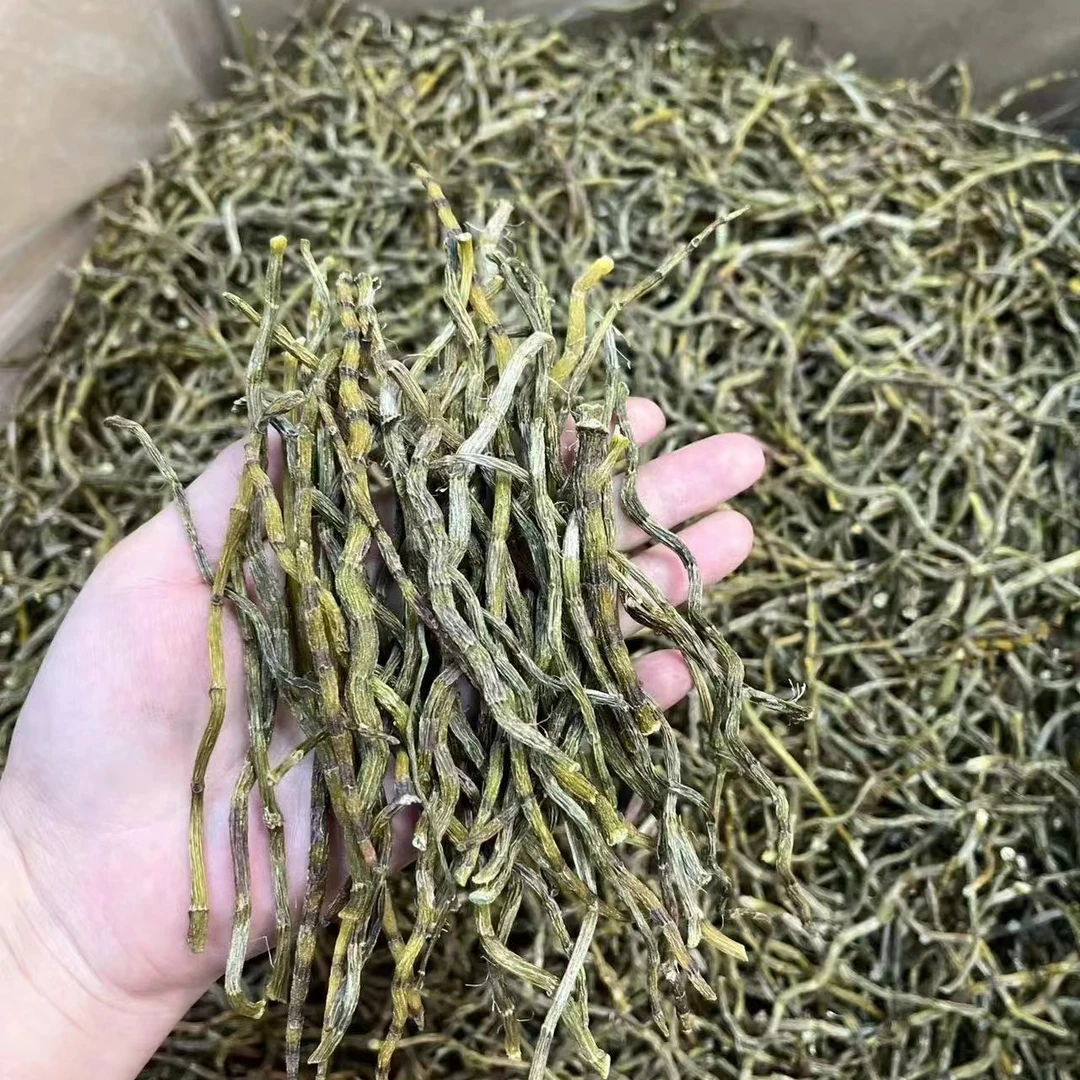 霍山铁皮石斛条