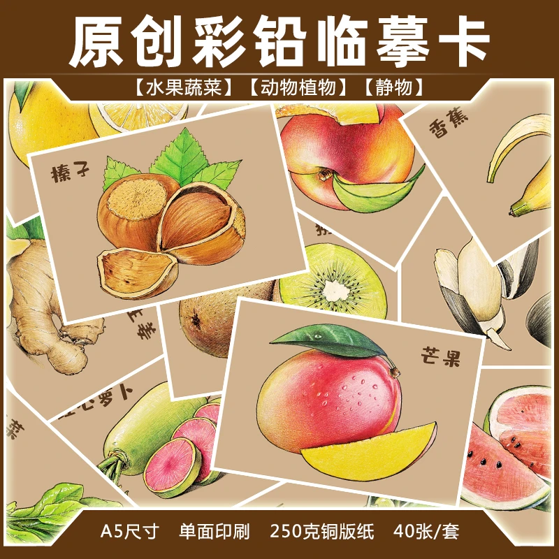 原创 牛皮纸彩铅 临摹卡 水果蔬菜 动植物花卉 静物美术画室专用