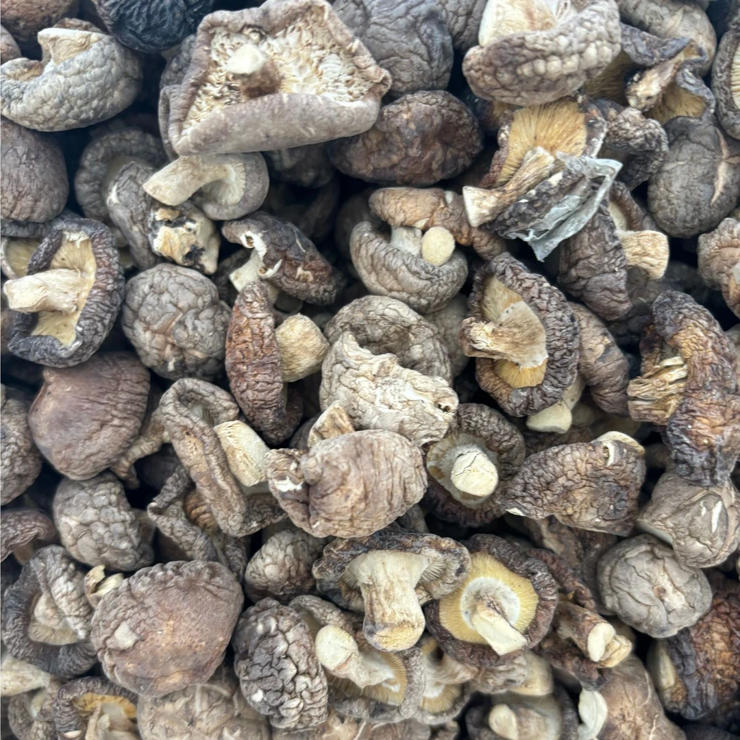 刁妹儿 小香菇(现称现卖)