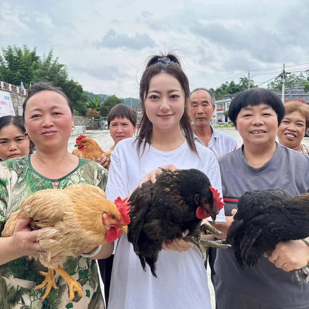 刁妹农家山货土货老母鸡（现抓现杀顺丰冷链低温运输）