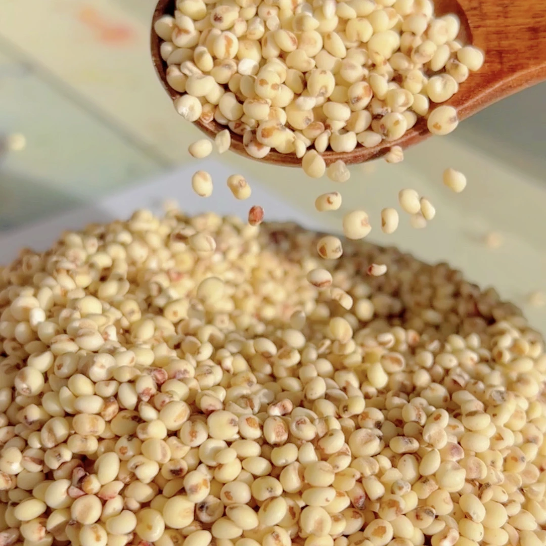 【守山大叔专属】高粱米粘高粱米，煮粥粘稠，5斤/袋