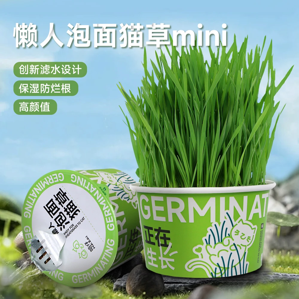 哈仔懒人泡面猫草创新滤水设计营养猫零食猫草猫咪排毛化毛