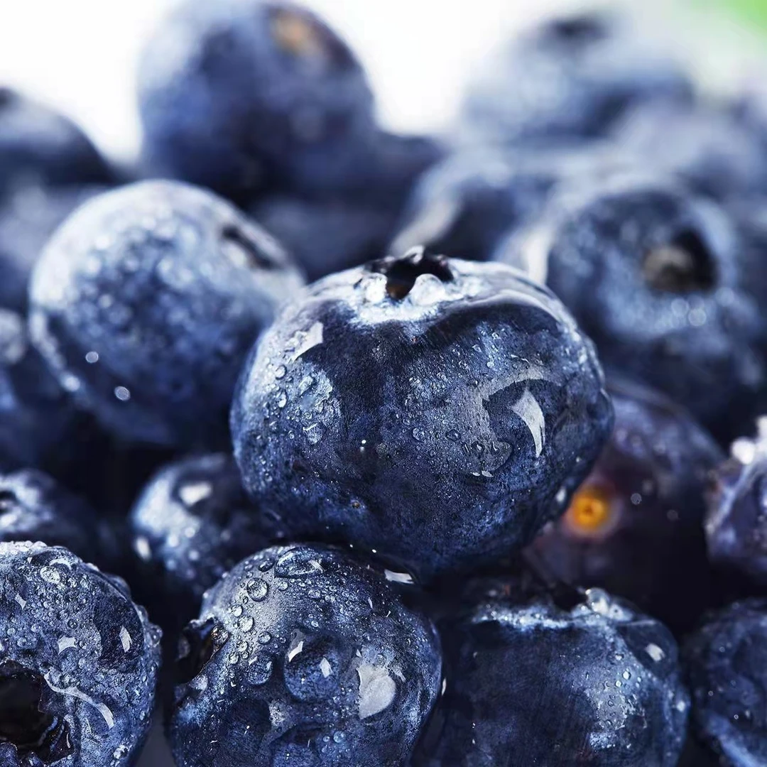 【LGG】 花香25蓝莓鲜果宝宝蓝莓新鲜现摘净含量1.5斤京东包邮