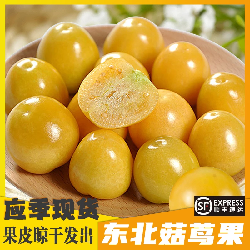 东北菇茑果姑娘果黄金豆灯笼果1/2/3斤装