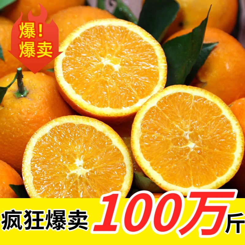 正宗赣南脐橙新鲜水果现摘纽荷尔甜的橙子赣州赣州果园直发包邮