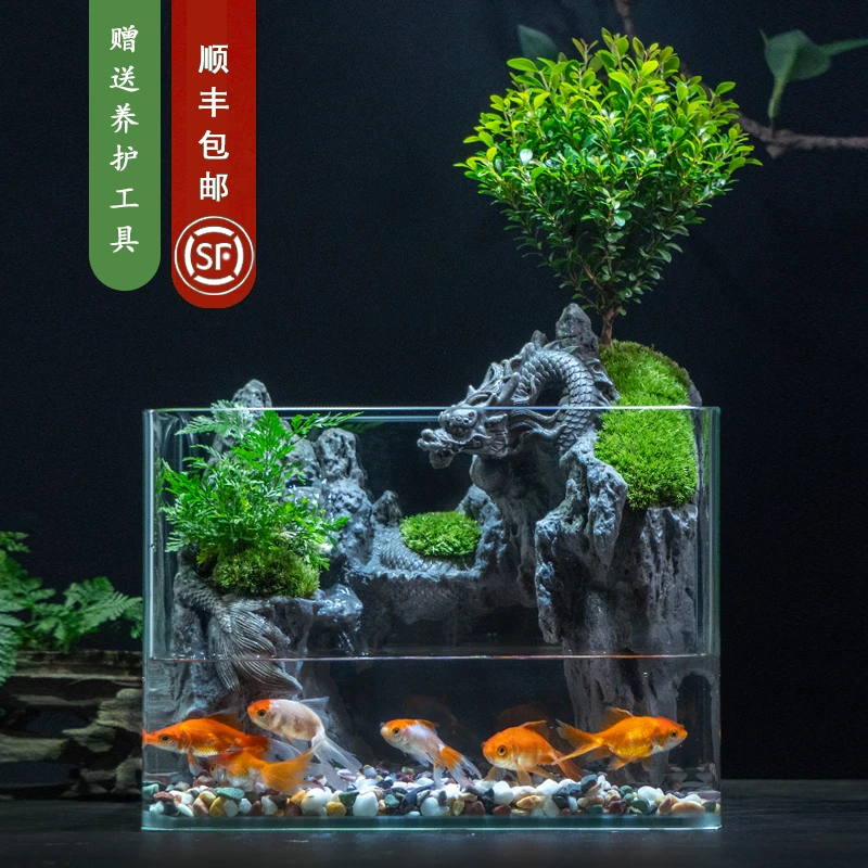 X【龙年限定】游龙-内置循环水小叶赤楠桌面景观懒人植物26*17*19