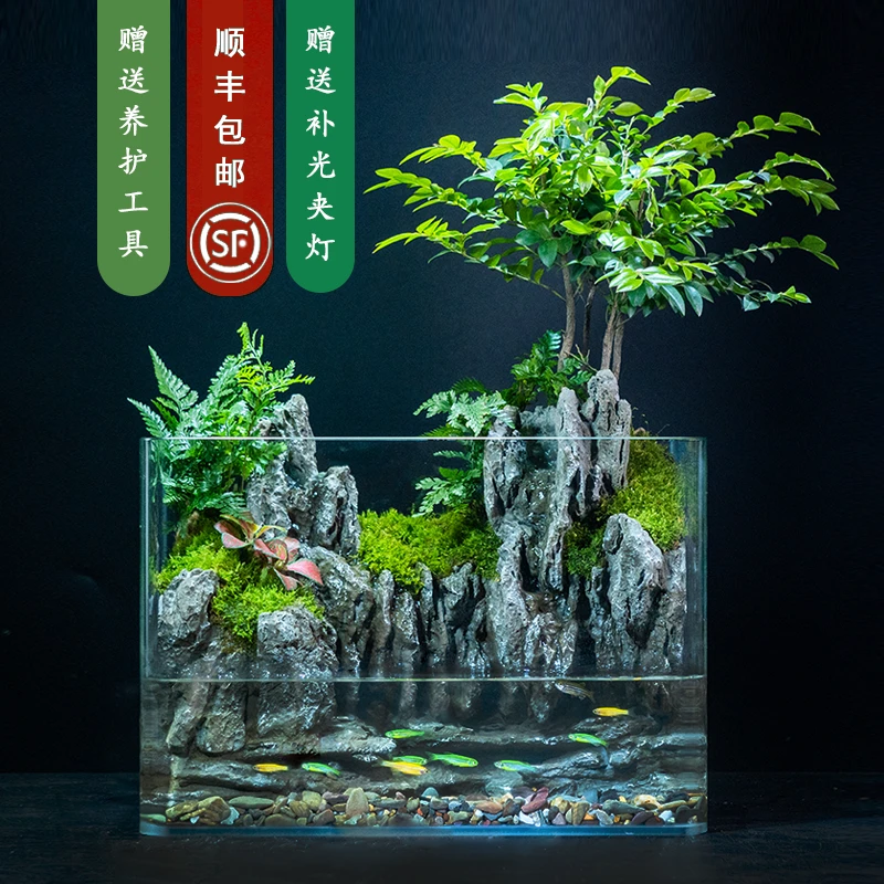 X限量【沧岚】国风双流水-大尺寸桌面景观丛林紫檀懒人植物30*19*21
