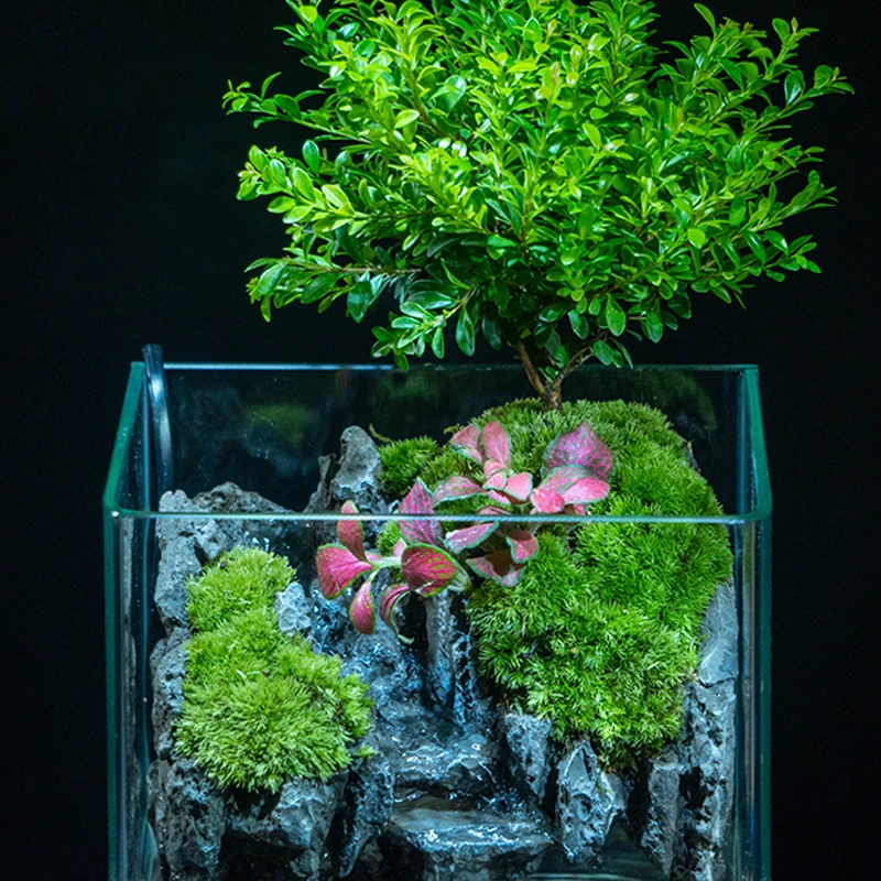 【忆江南】国风山水-内置循环水小叶赤楠桌面景观懒人植物18*15*22