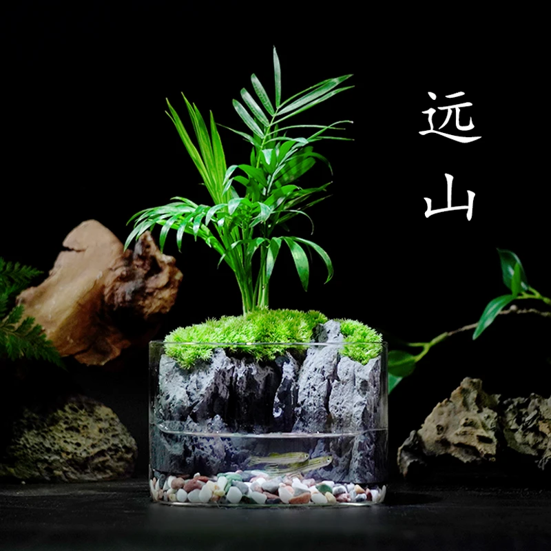 【远山】袖珍椰子ins风绿植桌面微景观创意精致盆栽生态玻璃瓶12*8