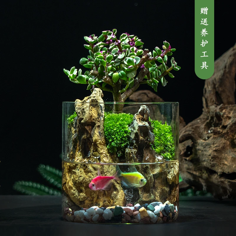 X【金枝玉叶】国风山水生态微景观松皮石创意风绿植精致盆栽12*12