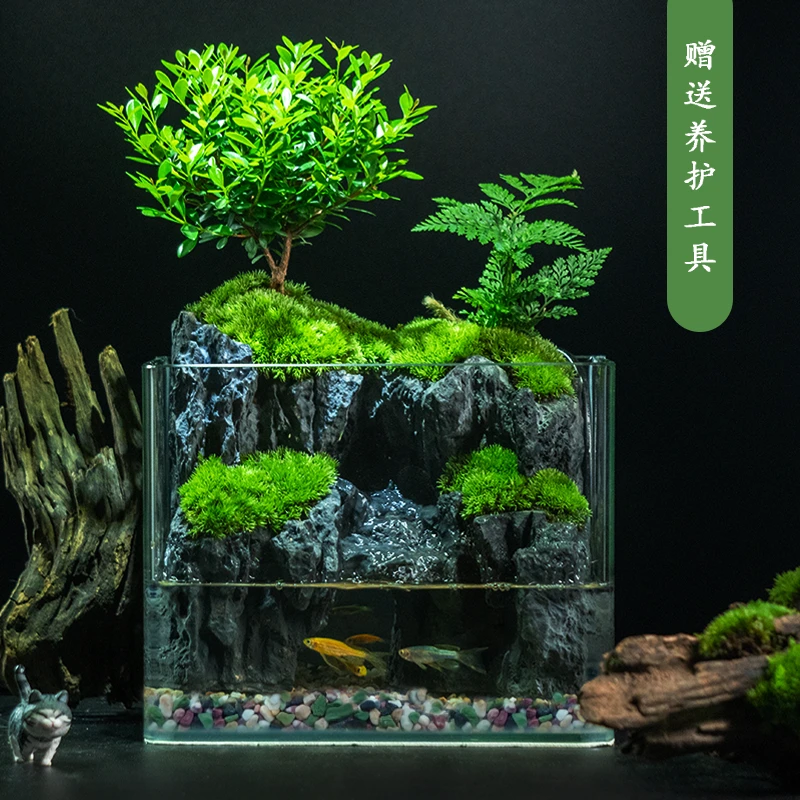 X【水月洞天】内置循环流水-小叶赤楠桌面景观创意办公懒人植物