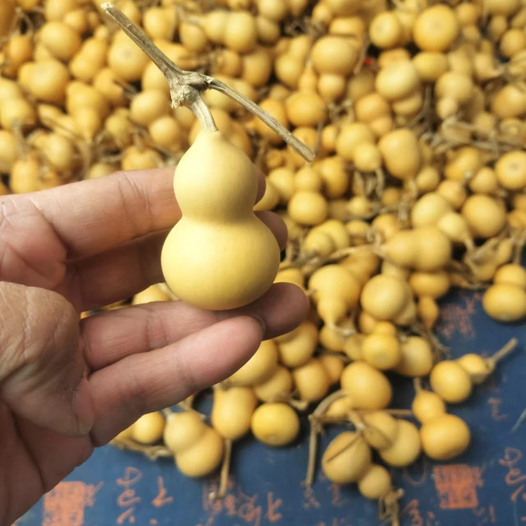 天然小美葫芦尾货周正度低10个