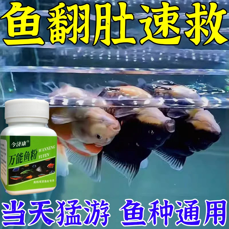 锦鲤金鱼孔雀鱼热带鱼趴缸厌食肠炎烂身烂尾烂鳃种通用万能鱼粉