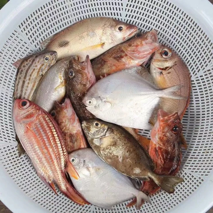 海捕海鱼海蟹现卖 直播间现改现卖链接