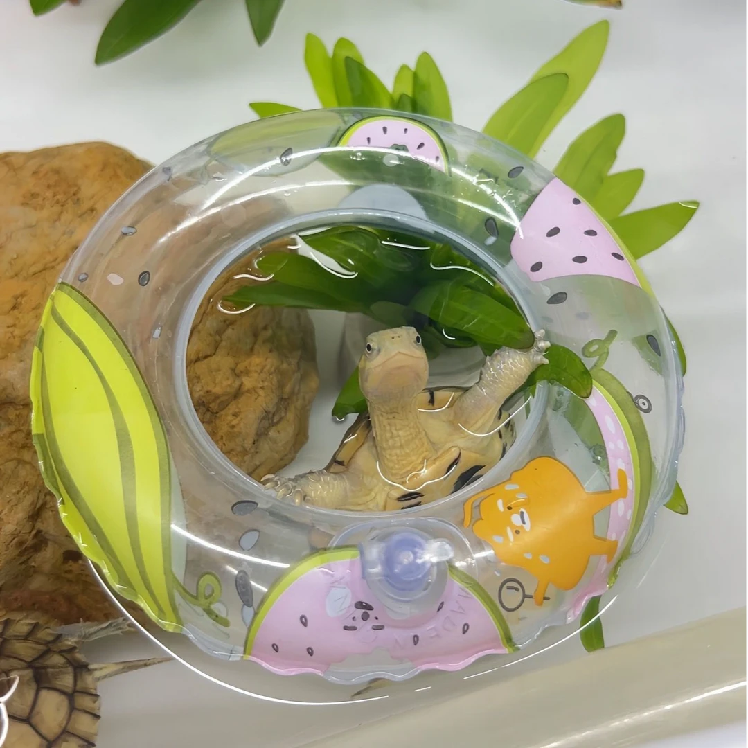 夏季乌龟戏水皮艇玩具迷你泳圈水族馆龟缸造景泳池漂浮物装设摆件