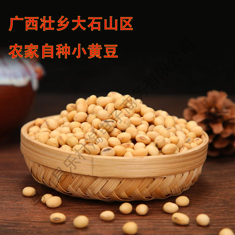 广西马山大石山区农家自种黄豆非转基因颗粒饱满本地食用小黄豆
