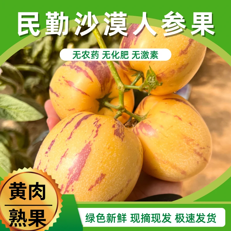yl甘肃民勤人参果低糖多汁黄肉熟果整箱4.5斤装大果